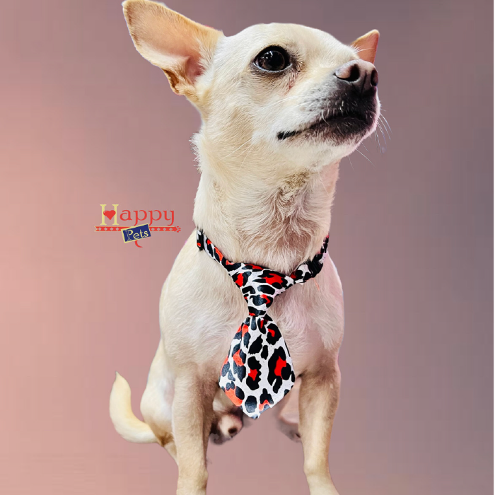 corbata para mascotas – PETS CO