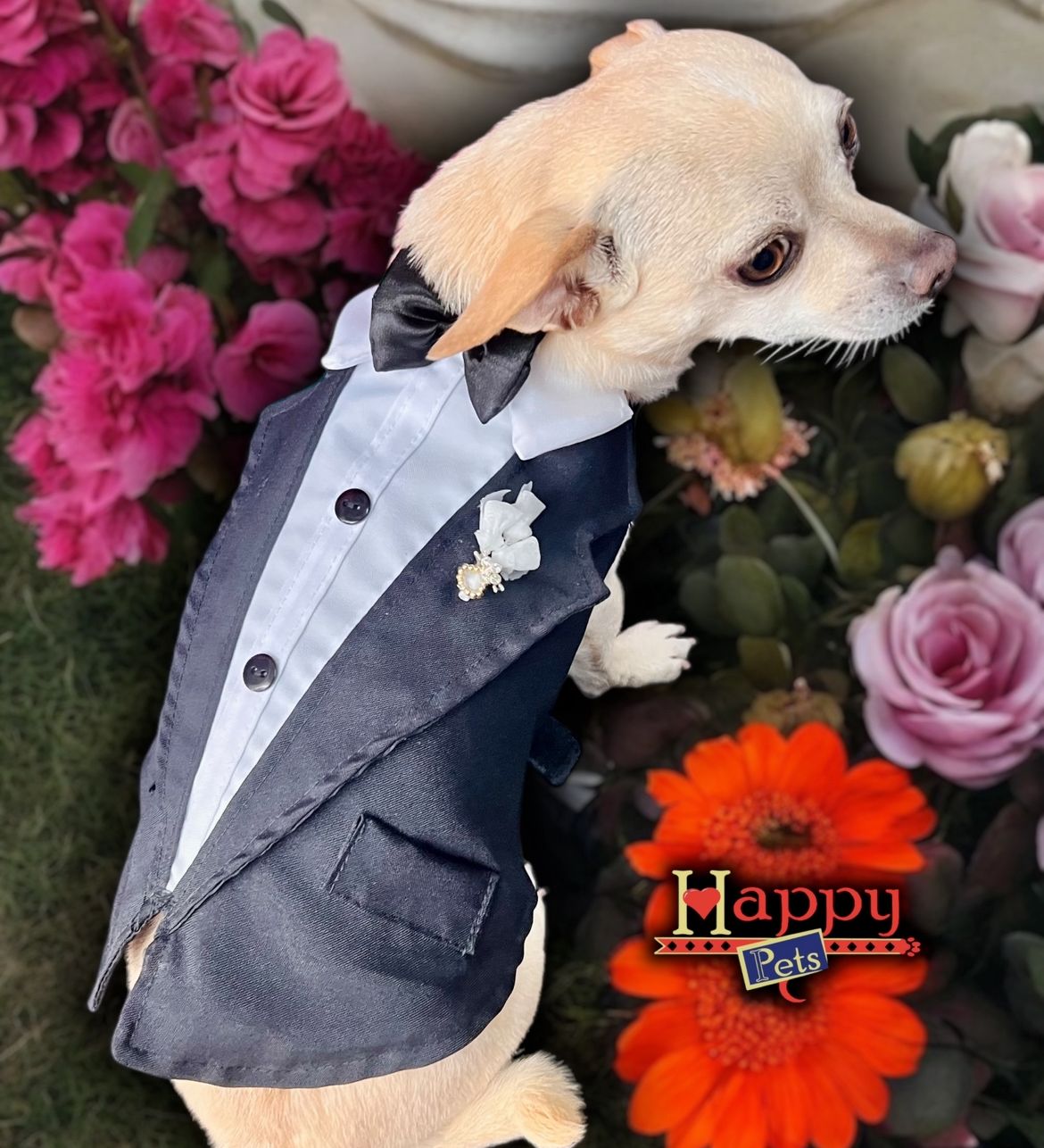 WhatsApp Image 2025-12-06 at 09.31.48_76b0e8ee